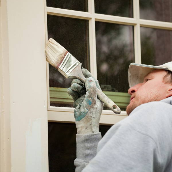 Color Splash Transform Your Space with Renu Painting's Vibrant Palette